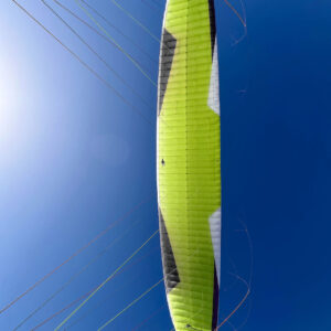 Leeloo-2 Medium brandneu PFT-LMM-0232