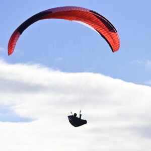 Leeloo-2 Large Demo PFT-LLL-0220