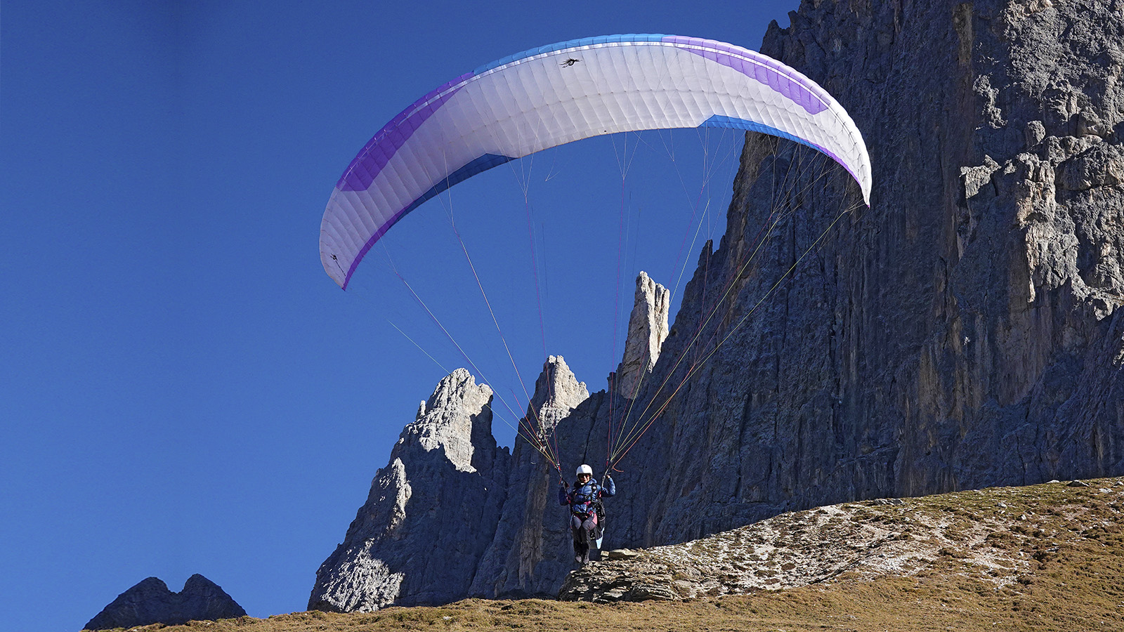 _eine schöne Almwiese am Fuß der Vajolet-türme